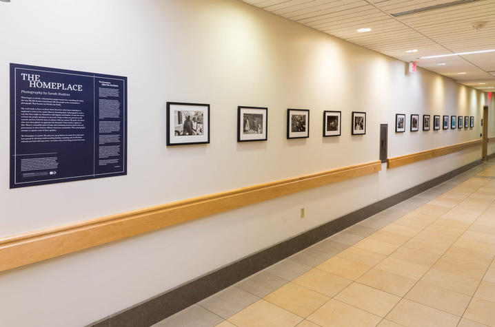 Photo of exhibit in hospital hallway
