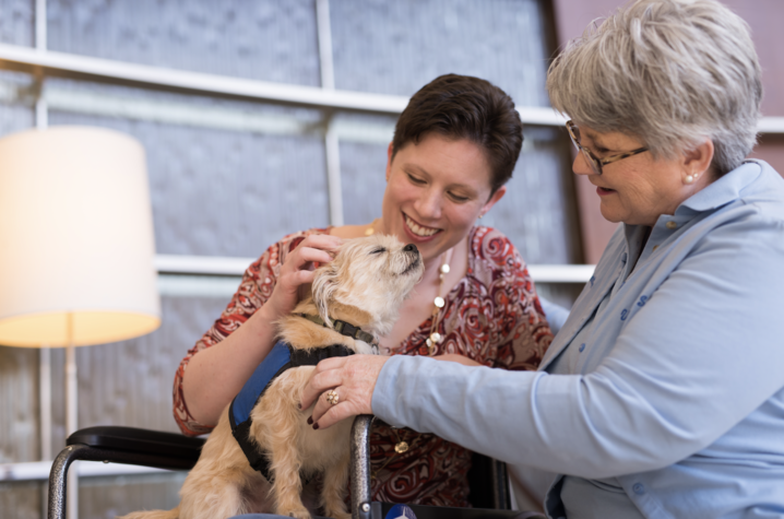 Pet therapy