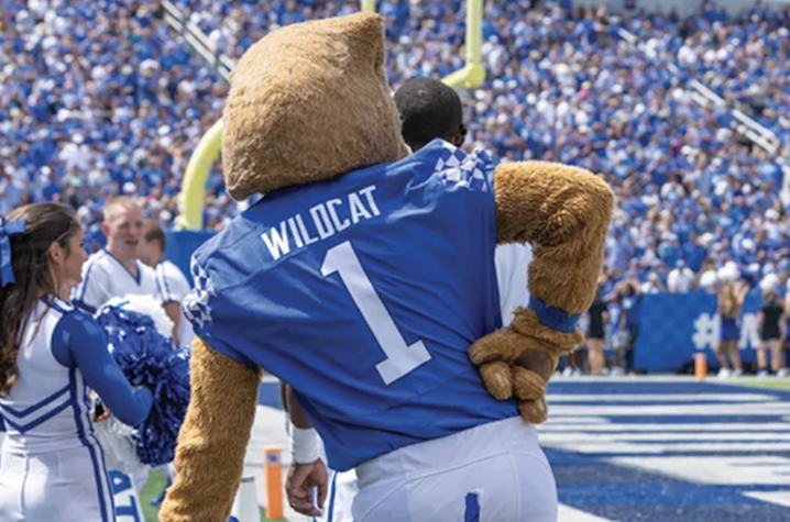 photo of Wildcat at UK football game