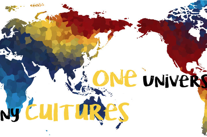 One University, Many Cultures