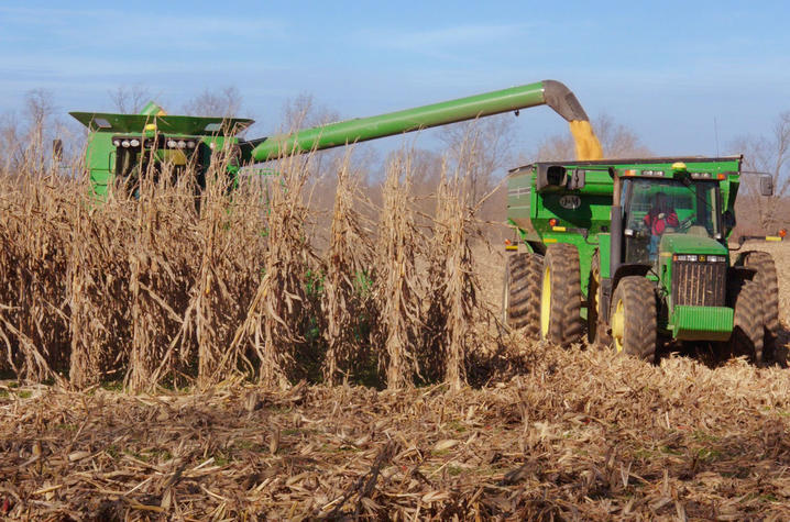 photo of farming today - "Look and See"