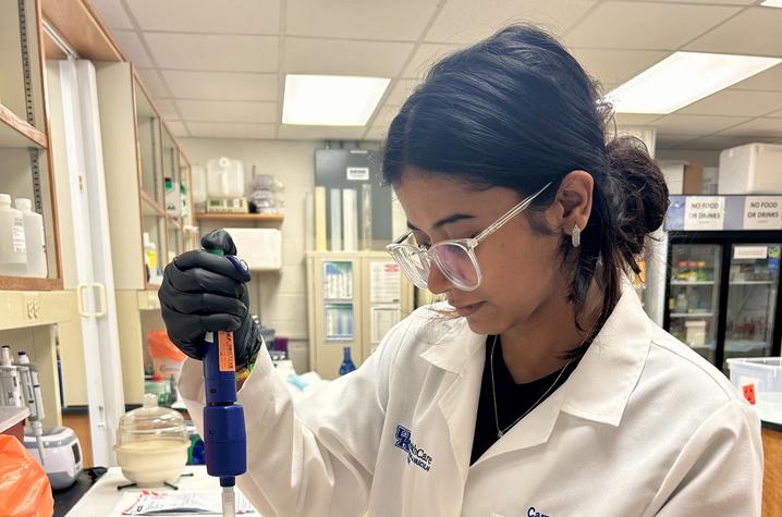 A person wearing a white lab coat and black gloves uses a blue pipette to dispense liquid into a rack of test tubes containing pink solution on a laboratory bench. 