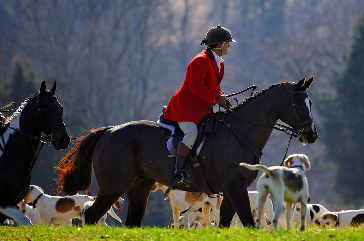 This is a photo of Carl Mattacola riding a horse.  