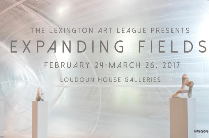 photo of website art for "Expanding Fields"