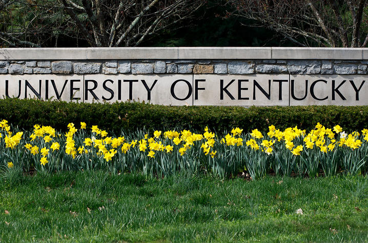 photo of front gate University of Kentucky sign with yellow daffodils in front of it