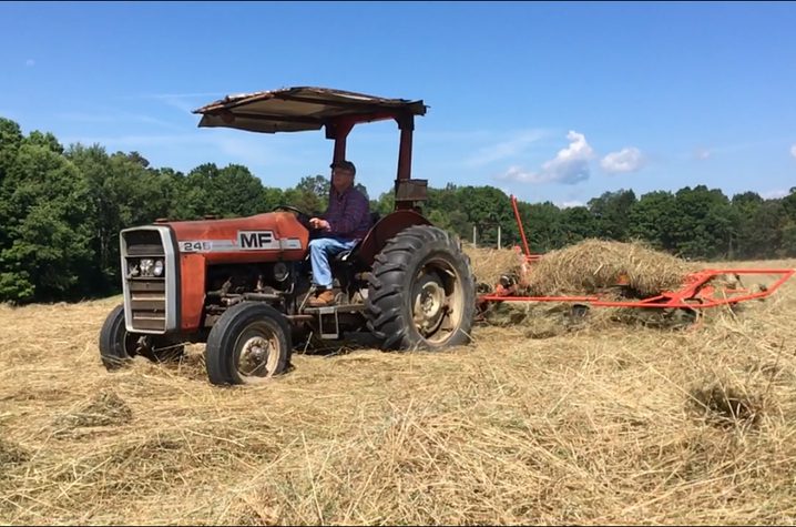 Kyle Brooks Groves enjoys a sunny day making hay on his farm.