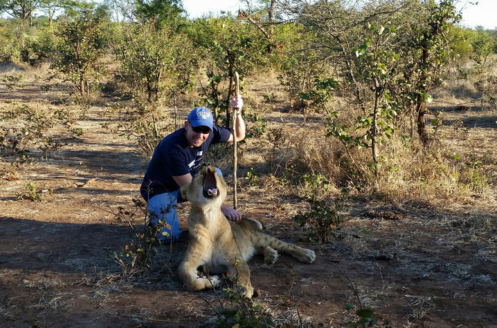 This is a photo of UK Alumnus Jason Darnall next to a lion in Africa.