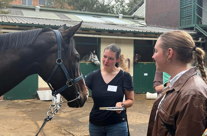 A dark horse wearing a blue halter stands in a stable yard while two people observe and interact with it. One person holds a notebook and reaches toward the horse’s muzzle, while another stands nearby listening.