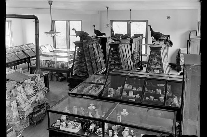 Photo of museum exhibit Historic museum exhibit room with glass display cases of rocks and artifacts, mounted bird specimens atop cabinets, and stacks of papers along one wall.