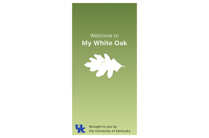 My White Oak app Green gradient app welcome screen with the text “Welcome to My White Oak,” a white oak leaf graphic, and a University of Kentucky logo at the bottom. Provide your feedback on BizChat