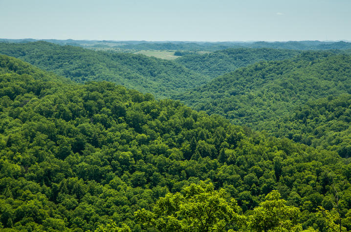 Aerial photo of Robinson Forest
