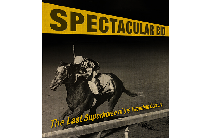 Cover of book featuring jockey on horse on track