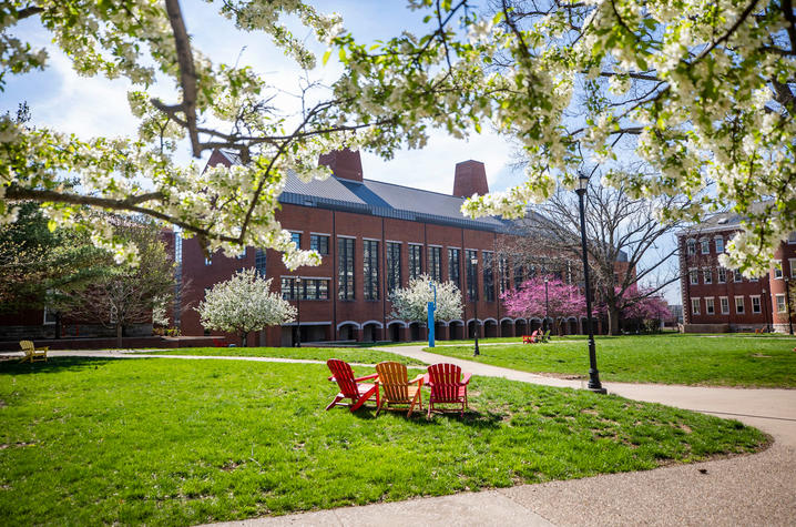 photo of trees flowering in spring on campus