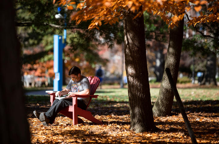 student with mask sitting in chair under tree with fall leaf color on campus