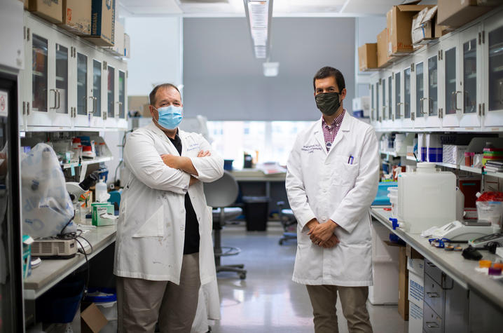 UK researchers Patrick Sullivan and Brad Hubbard have been awarded $3.2 million to continue research that could pave the way for a treatment for traumatic brain injury. Pete Comparoni | UK Photo.