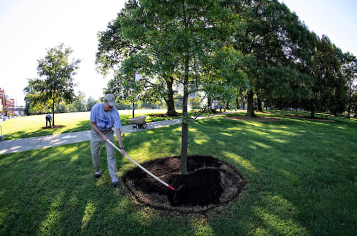 A man planting a tree.