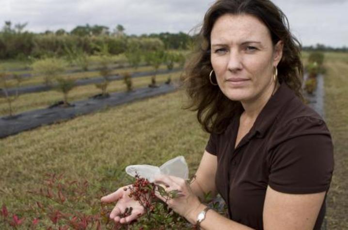 Sandra Wilson, University of Florida professor of environmental horticulture