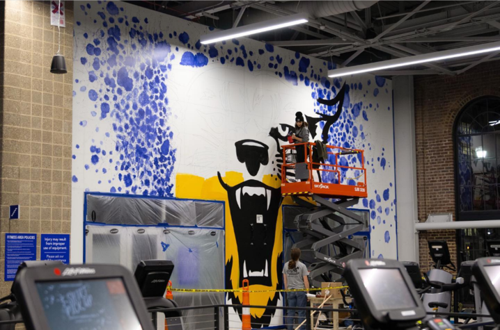 photo of Selma Odobasic on lift painting wildcat mural with Peter Dunaway looking on