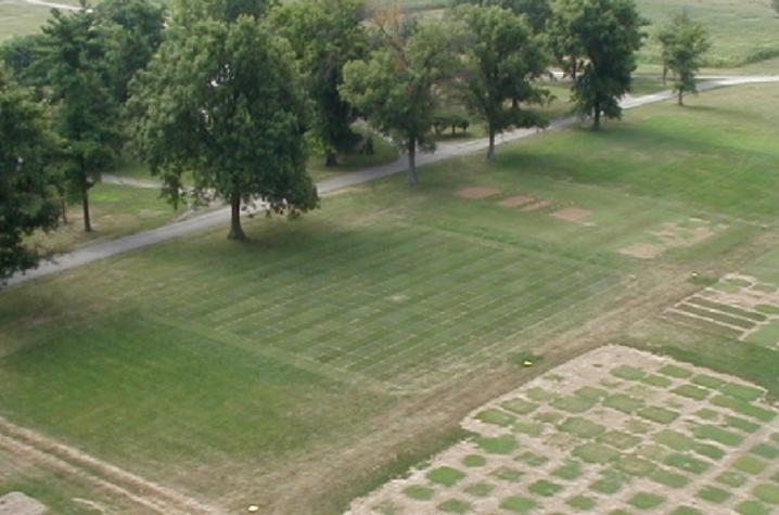 photo of turfgrass research