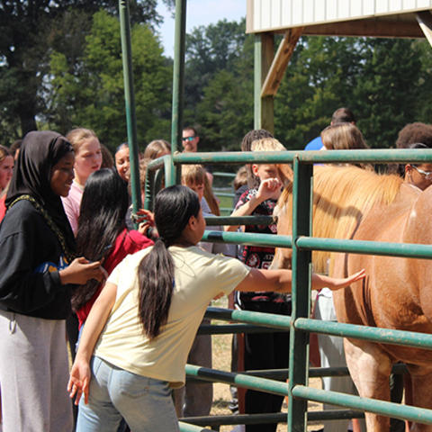 8th grade Pathway-Agriculture Day 