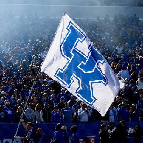 Photo of UK Banner in Crowd