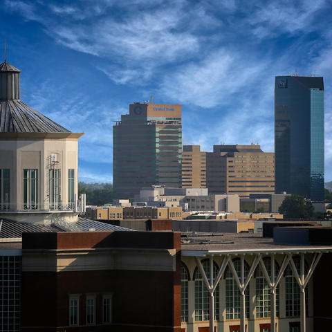 photo of Lexington skyline with cupola of Young Library in forefront