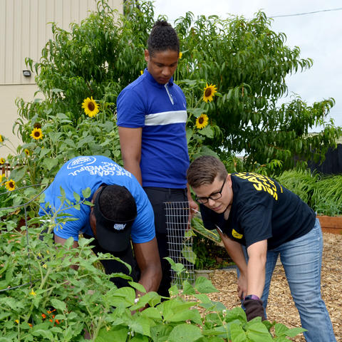 Youth in Garden at UK Cooperative Extension Office in Jefferson County