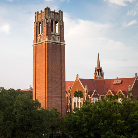 University of Florida
