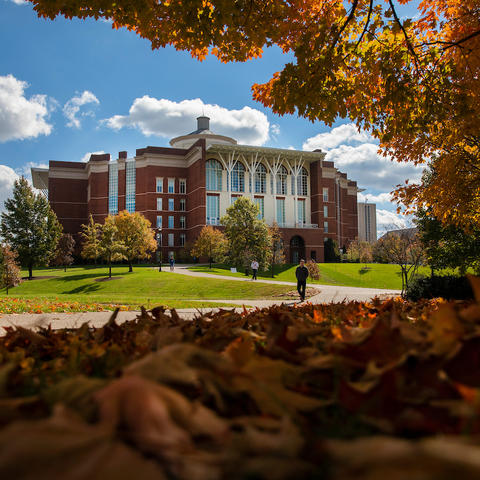 photo of William T. Young library in the fall