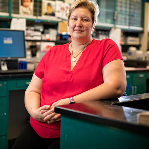 Donna Wilcock, of the Sanders-Brown Center for aging in her lab on August 14, 2019. Photo by Mark Cornelison | UKphoto