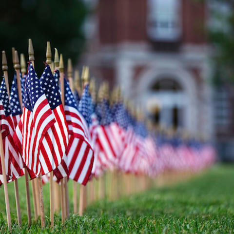 Photo of flags on campus