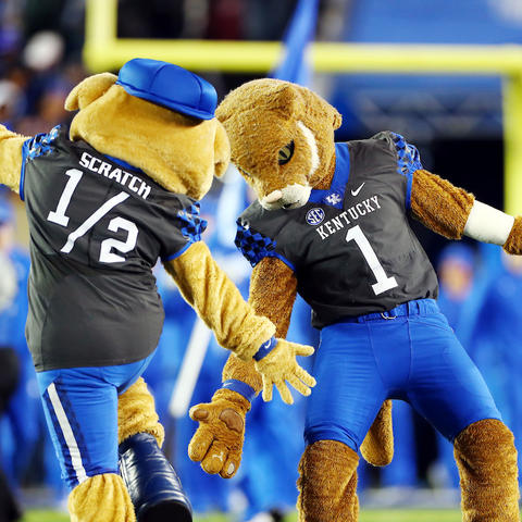 Photo of the Wildcat and Scratch 