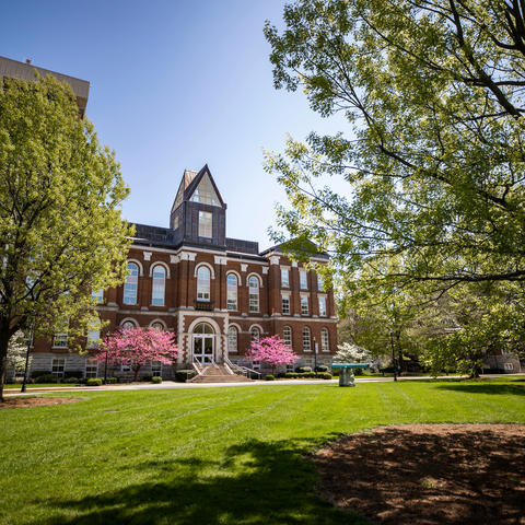 The Main Building at the University of Kentucky during springtime with blossoming trees and a light blue sky.
