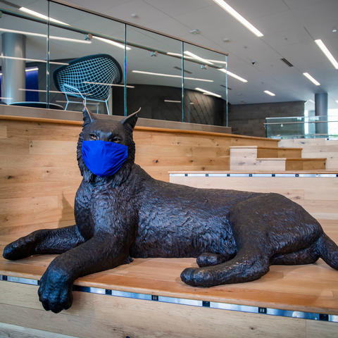 photo of Bowman Wildcat statue in Gatton Student Center wearing a mask
