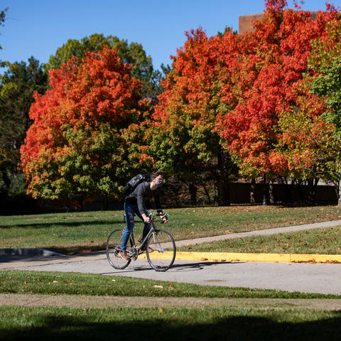 campus in autumn 