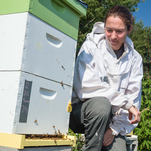 Clare Rittschof, assistant professor of entomology, with bee hive at North Farm