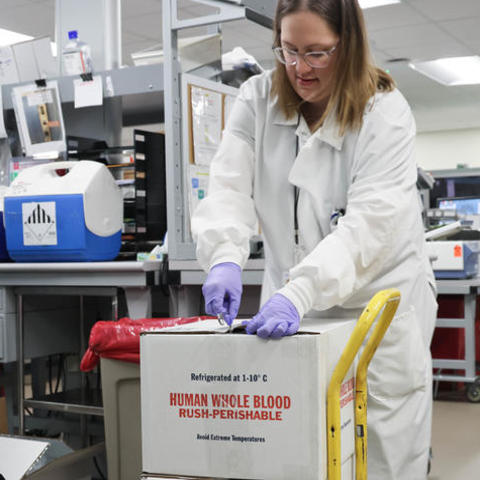 A UK HealthCare medical laboratory scientist opens up the delivery of blood to prepare it for further tests before it goes to patients. Hilary Brown | UK Photo