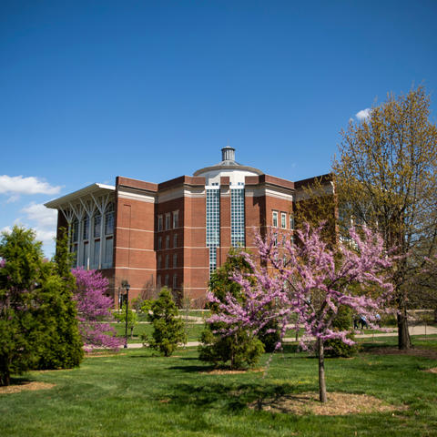 William T. Young Library on campus. Photo by Pete Comparoni | UK Photo