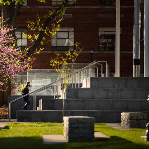student walking up steps to enter law building with beautiful pink blooming tree behind her