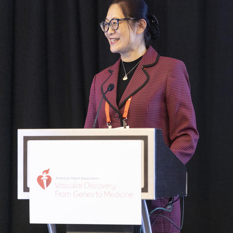 Hong Lu at AHA science session 2025