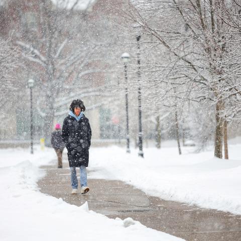 A photo of a student walking on a clear sidewalk of the University of Kentucky's campus when it is snowing