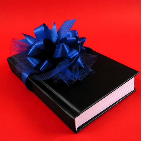 photo of book with blue bow on it
