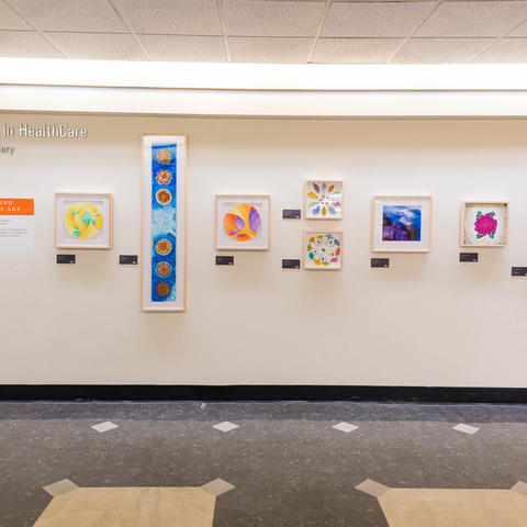 image of two-dimensional artwork in employee gallery in hospital lobby.