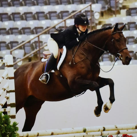 Alexis Johnson and her horse Joey jump in competition.