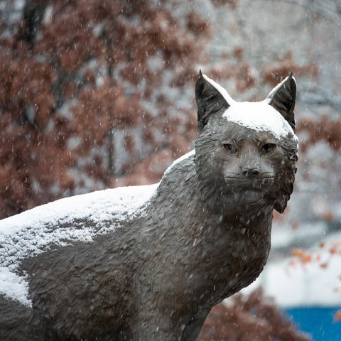 statue of Bowman at Wildcat Alumni Plaza in the snow