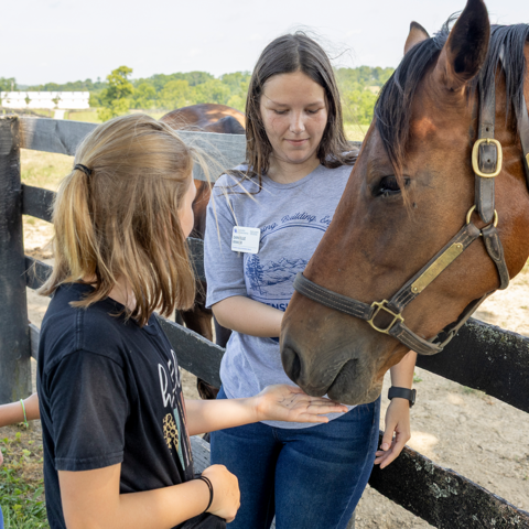 Franklin County Extension Summer 2025 intern