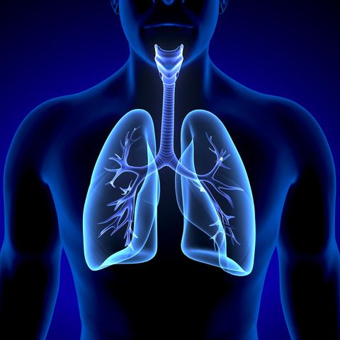 graphic illustration of a pair of lungs