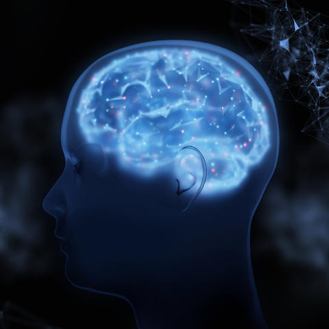 image rendering of brain