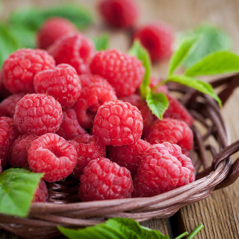 Rasberries in basket