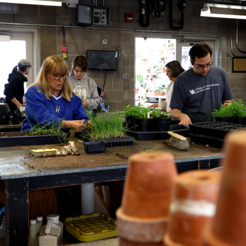 Horticulture Club members preparing plants